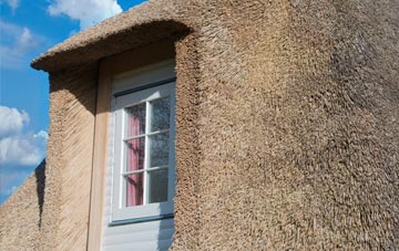 Budges Shop thatch roof disadvantages